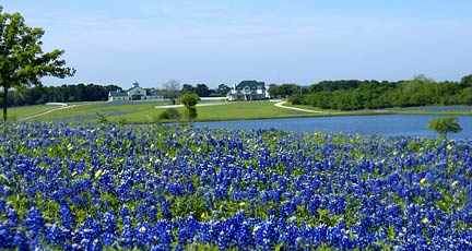 brenham homes for sale